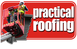 High Access Roofing Services